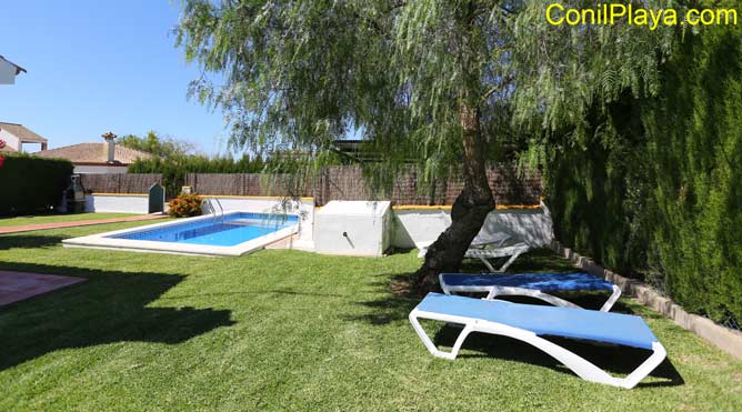 piscina y hamacas bajo arbol