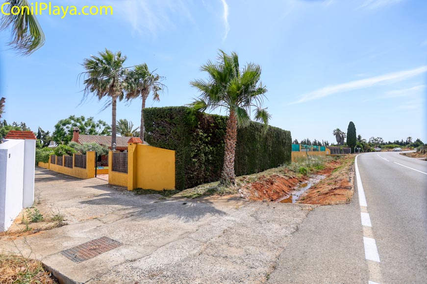 Entrada al alojamiento con setos altos y palmeras desde la carretera del puerto pesquero
