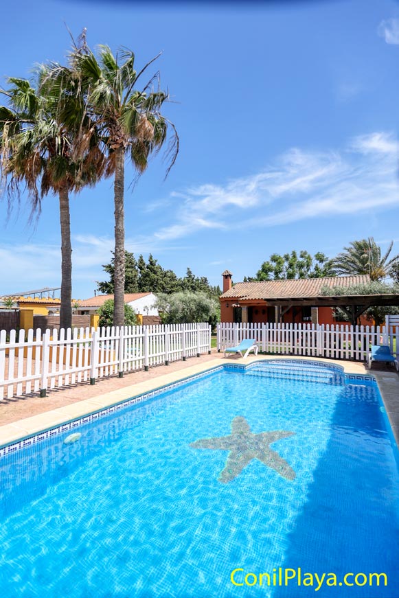 Vista de la casa en Conil con piscina vallada y palmeras desde un extremo de la piscina