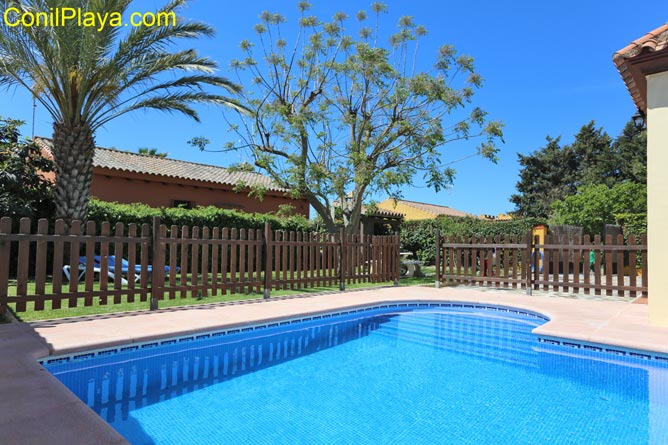 Piscina del chalet en Conil, zona de Roche Viejo