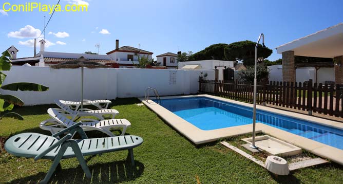 piscina con cesped y tumbonas del chalet