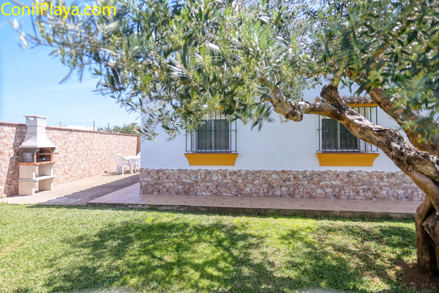 jardín con barbacoa junto a olivo y zona de césped privada