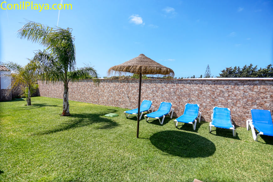 jardín privado con césped, palmeras y tumbonas azules junto a muro de piedra