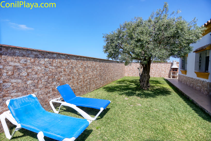 Jardín privado con tumbonas junto a un olivo y zona de barbacoa