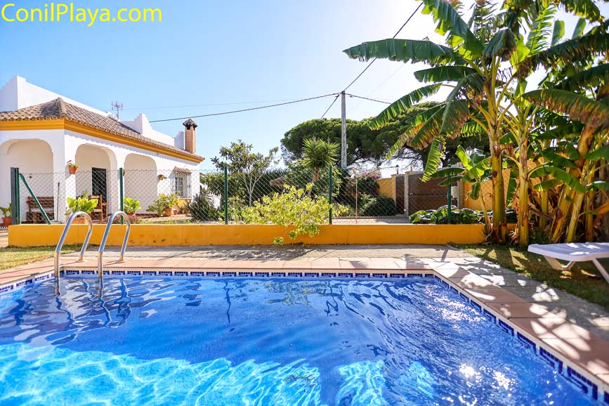 Chalet en alquiler en Conil con piscina.