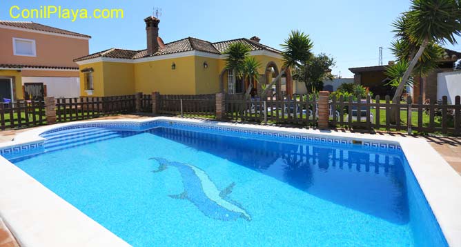 casa en conil con piscina alquilada por particular