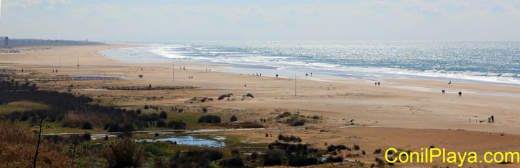 Playa de Conil