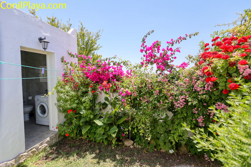 Aseo exterior junto a jardín con muchas flores coloridas y lavadora visible
