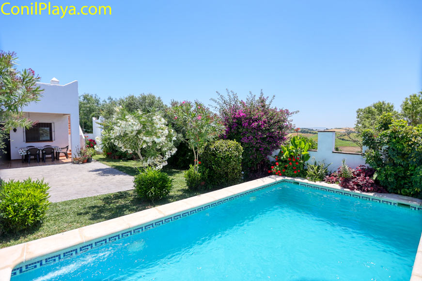 Piscina privada rodeada de jardín y terraza junto a casa en alquiler en Conil