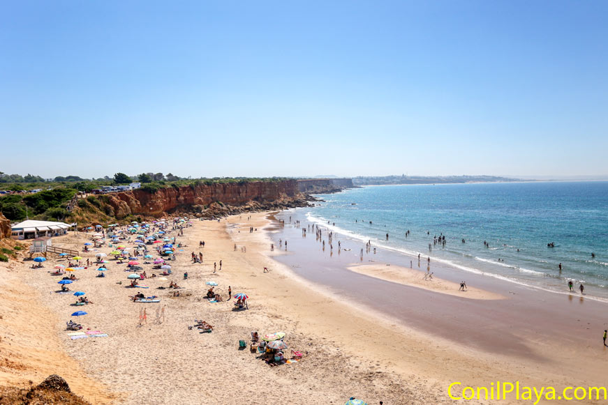 Conil cala aceite junio