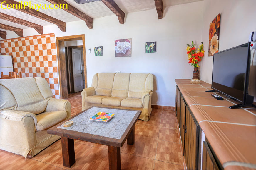 Salón sofa tv