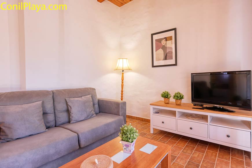 sofa y television del salon
