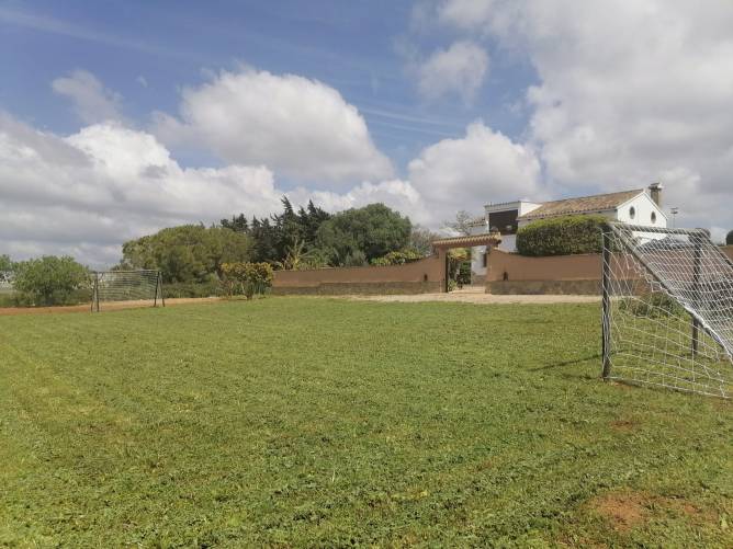 campo futbol