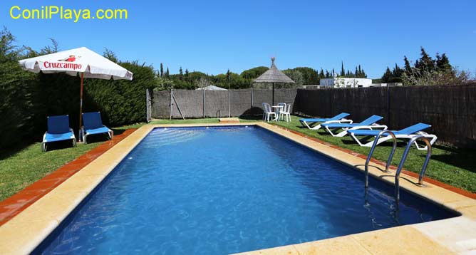 piscina con tumbonas y sombrillas