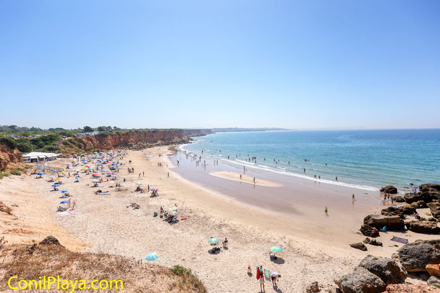 Vista panorámica de la cala del aceite en Conil de la Frontera desde una zona elevada con bañistas y sombrillas