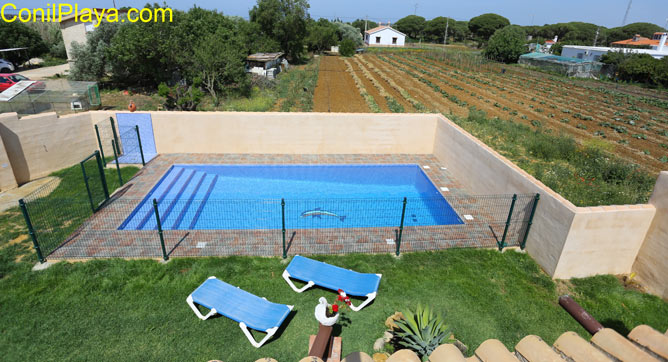 piscina vista desde la azotea