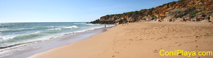 Cala de Conil de la Frontera