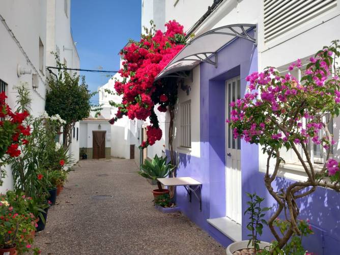 Fachada del alojamiento en alquiler corazón de Conil con detalles violetas y macetas en calle tranquila