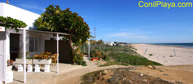 Estudio situado en la misma playa de la Fontanilla