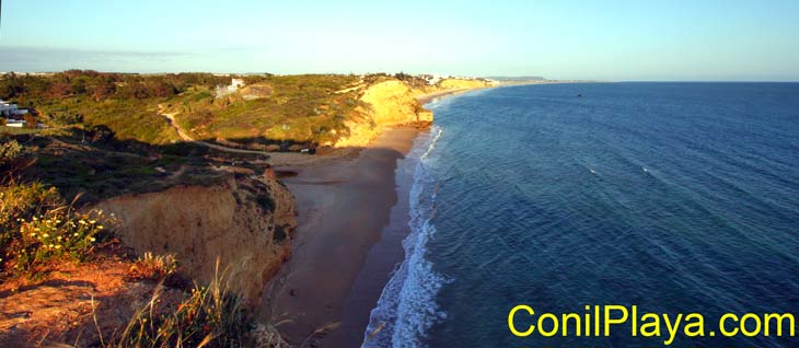 Playa de Conil