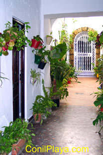 Patio adornado con macetas y plantas.