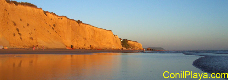 Acantilado de Conil. Playa de La Fuente del Gallo.