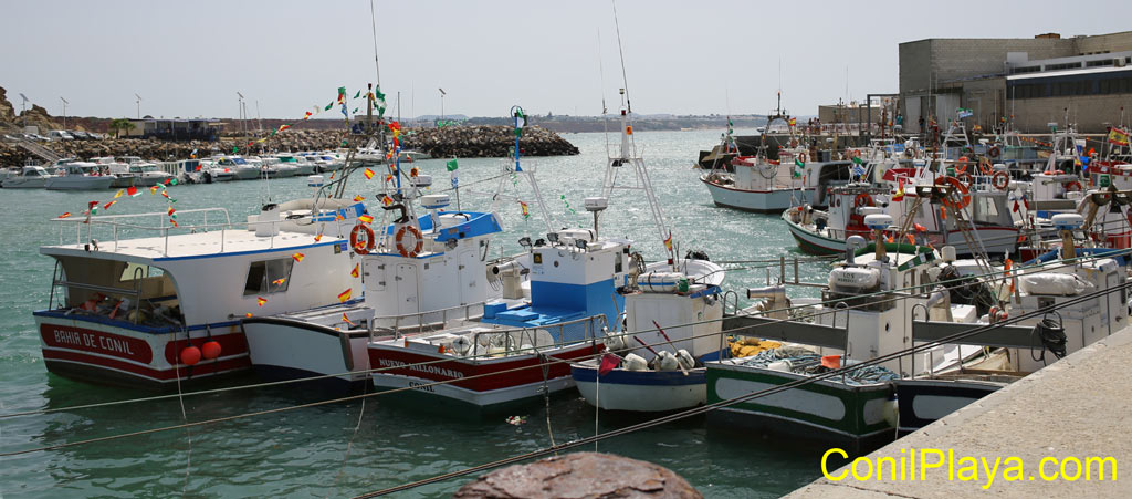 El puerto de Conil