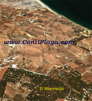 El pinar del Mayorazgo de Conil.