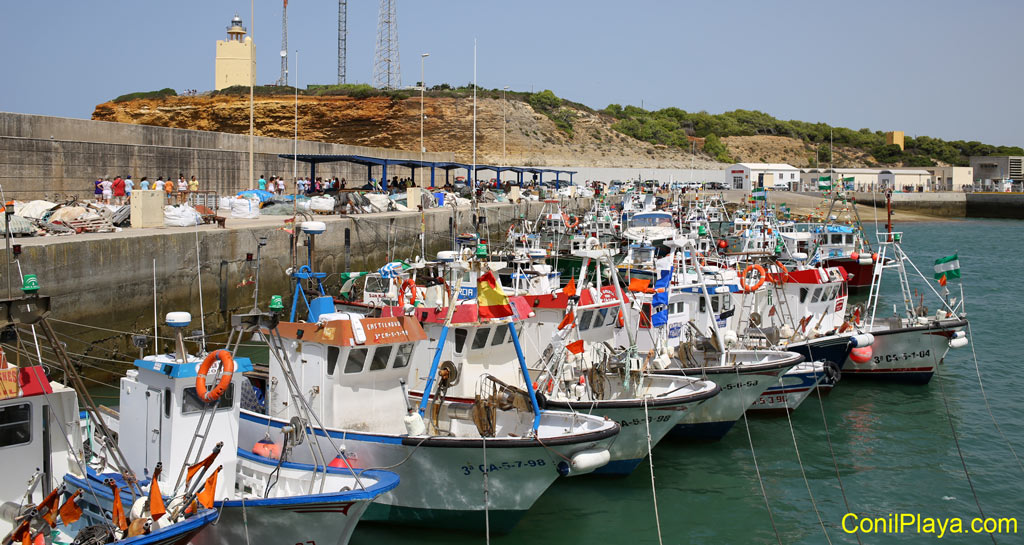 Barcos pesqueros amarrados en el puerto de Conil