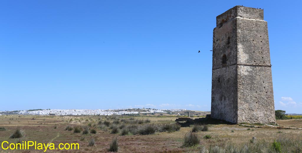 Torre Castilnovo, al fondo Conil