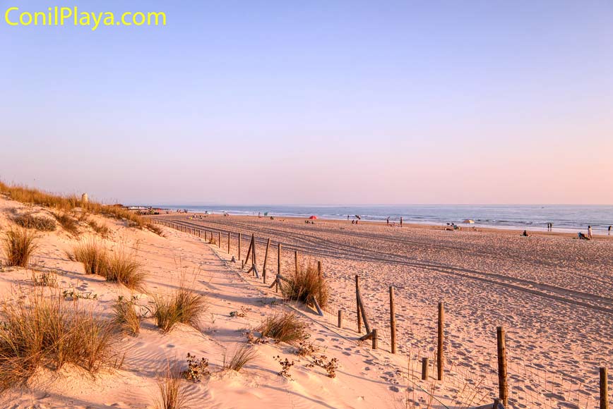 playa del palmar