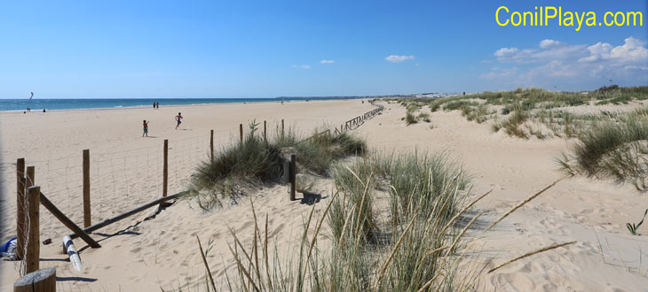 Playa de El Palmar