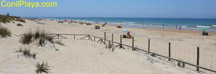 Playa de El Palmar