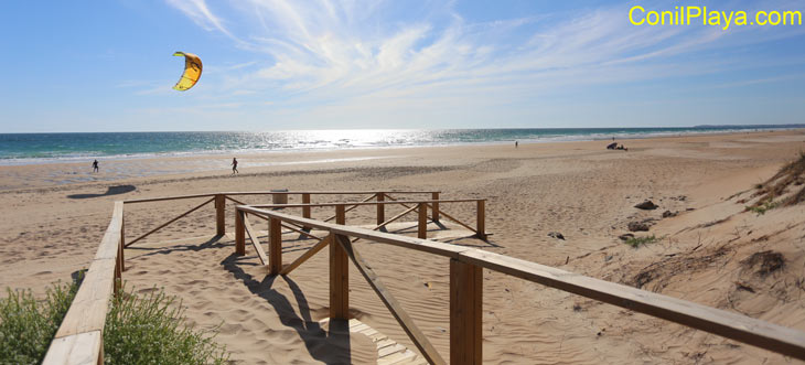 playa del palmar en Vejer de La Frontera, Cadiz