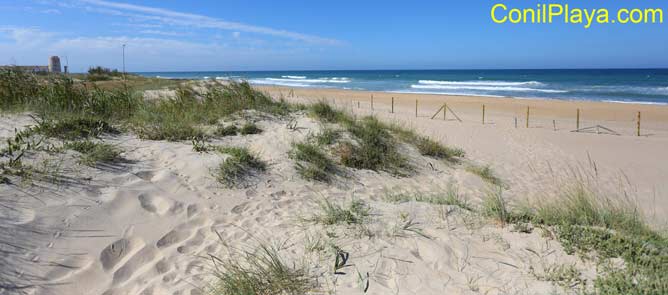 playa de El Palmar