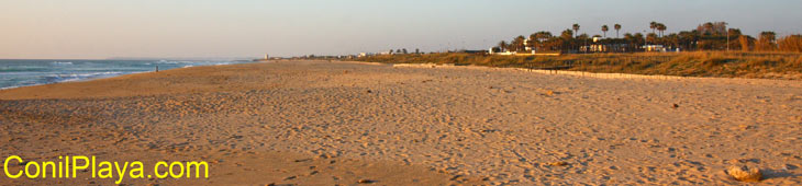 Playa de El Palmar a la altura de los chalets