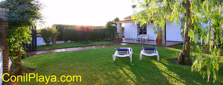 jardin con cesped y un arbol.