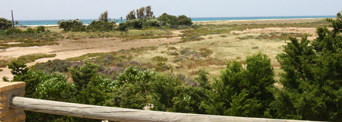 Vista de la playa desde la terraza