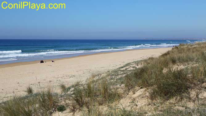 playa de La Mangueta