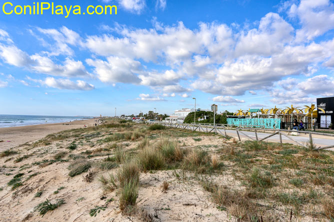 Playa de El Palmar