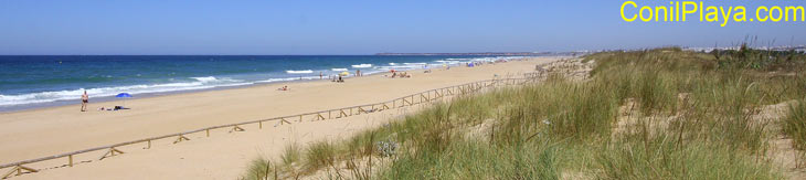 Playa de El Palmar