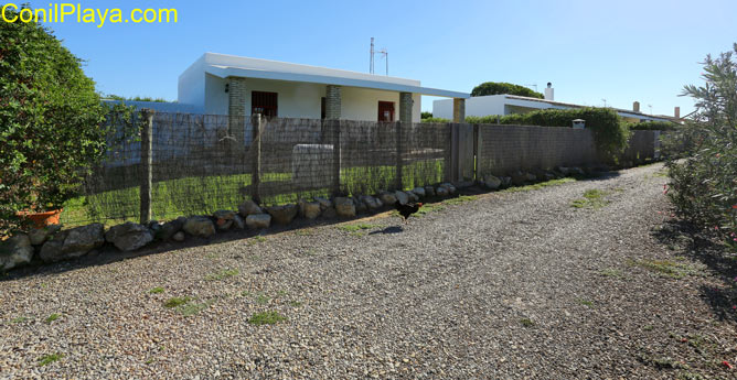 casas en El Palmar de Vejer