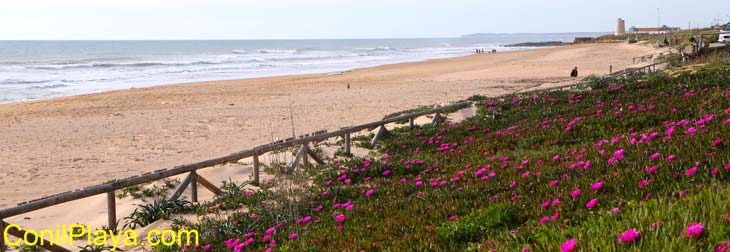 Playa del Palmar