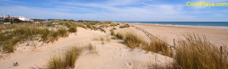 Playa de El Palmar