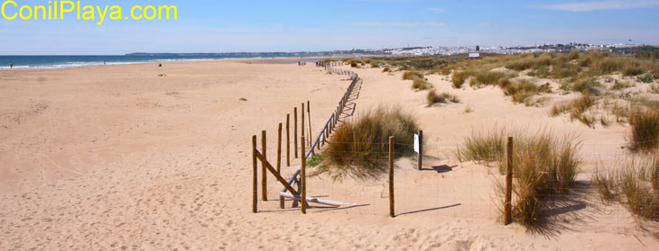 Playa de El Palmar