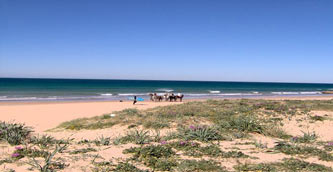 Playa de El Palmar