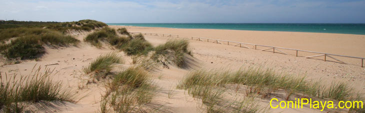 Playa del Palmar