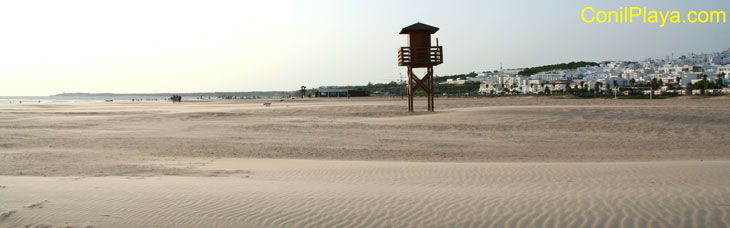 Conil