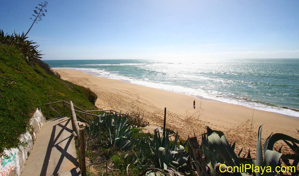 Playa urbana de los Caños de Meca