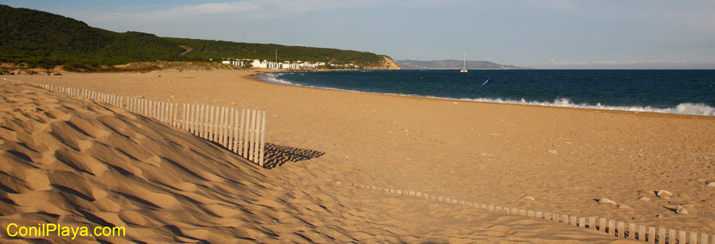 Playa del Varadero o Marisucia. Al fondo Los Caños de Meca (Barbate, Cadiz), en primer termino la duna de arena.